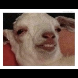 Meet your Posher, Roberto